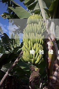 烟台法院招聘信息查询 烟台法院招聘信息查询