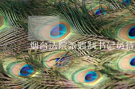 烟台法院派遣制书记员待遇 烟台法院派遣制书记员待遇