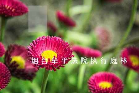 烟台牟平法院执行庭林
