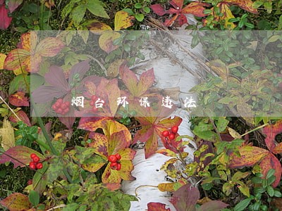烟台环保违法 烟台环保违法