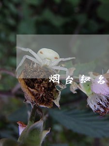 烟台知名合同纠纷律师怎么收费 烟台知名合同纠纷律师怎么收费