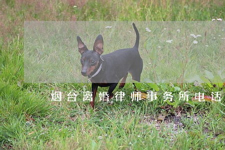 烟台离婚律师事务所电话 烟台离婚律师事务所电话