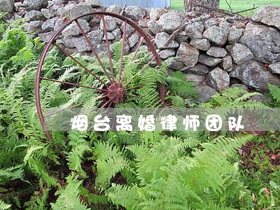 烟台离婚律师团队 烟台离婚律师团队