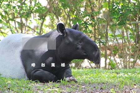 烟台离婚律师调解 烟台离婚律师调解