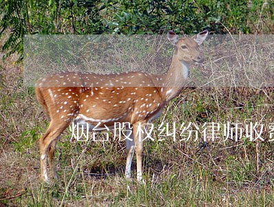 烟台股权纠纷律师收费 烟台股权纠纷律师收费