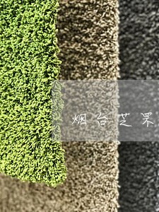 烟台芝罘区法院甄景善 烟台芝罘区法院甄景善