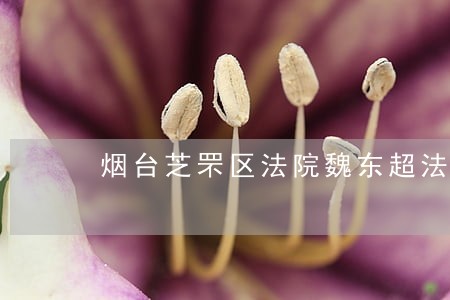 烟台芝罘区法院魏东超法官简历 烟台芝罘区法院魏东超法官简历