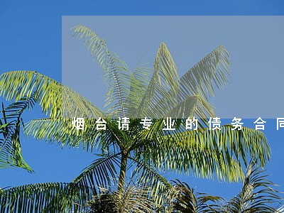 烟台请专业的债务合同律师费用 烟台请专业的债务合同律师费用