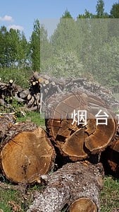 烟台请专业的债务纠纷律师哪里找 烟台请专业的债务纠纷律师哪里找