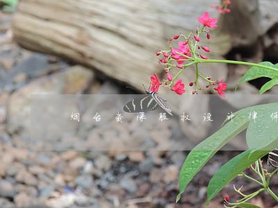 烟台资深股权设计律师事务所排名 烟台资深股权设计律师事务所排名