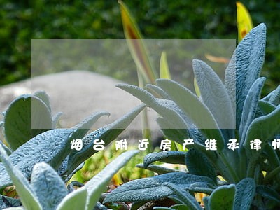 烟台附近房产继承律师 烟台附近房产继承律师