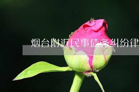 烟台附近民事债务纠纷律师 烟台附近民事债务纠纷律师