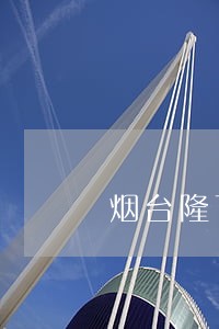 烟台隆飞融资担保公司法人 烟台隆飞融资担保公司法人