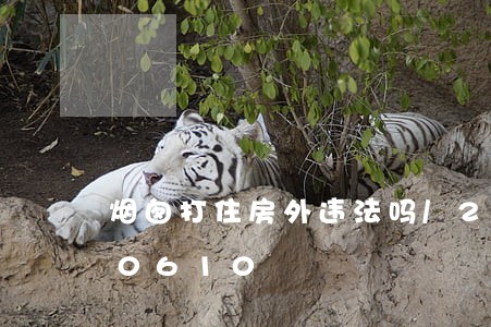 烟囱打住房外违法吗/2023012620610 烟囱打住房外违法吗/2023012620610