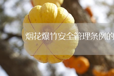 烟花爆竹安全管理条例的法规正文 烟花爆竹安全管理条例的法规正文