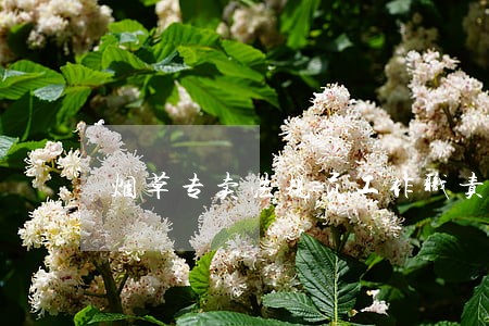 烟草专卖法规员工作职责