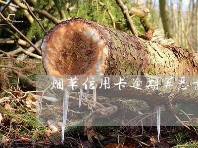 烟草信用卡逾期算恶意透支吗 烟草信用卡逾期算恶意透支吗
