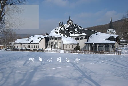 烟草公司法务