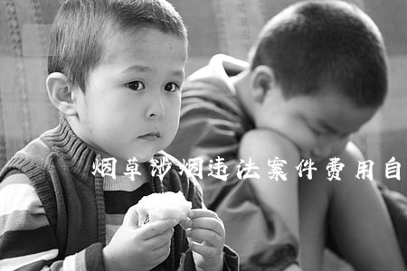 烟草涉烟违法案件费用自查报告 烟草涉烟违法案件费用自查报告