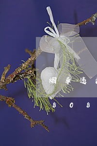 烟草违法违规大户培训/2023020880888 烟草违法违规大户培训/2023020880888