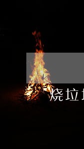 烧垃圾违法打110 烧垃圾违法打110