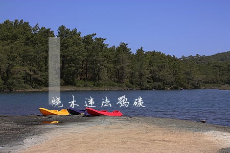 烧木违法嘛碳 烧木违法嘛碳