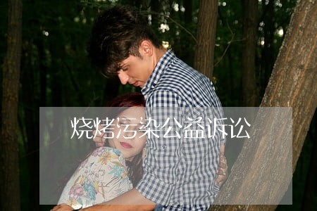 烧烤污染公益诉讼 烧烤污染公益诉讼