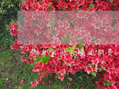 热力公司采暖逾期费 热力公司采暖逾期费