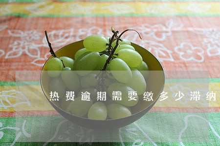 热费逾期需要缴多少滞纳金 热费逾期需要缴多少滞纳金