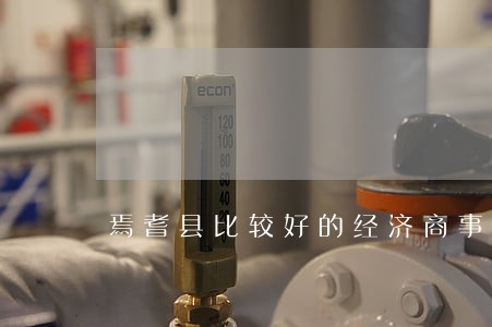 焉耆县比较好的经济商事合同律师 焉耆县比较好的经济商事合同律师