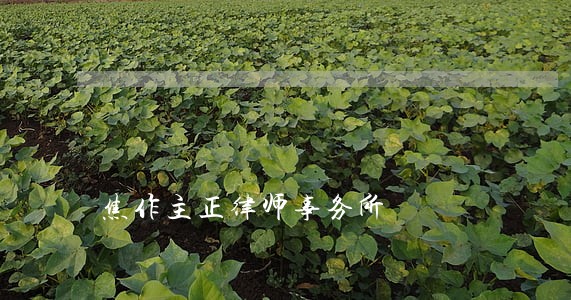 焦作主正律师事务所 焦作主正律师事务所