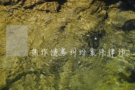 焦作债务纠纷案件律师 焦作债务纠纷案件律师