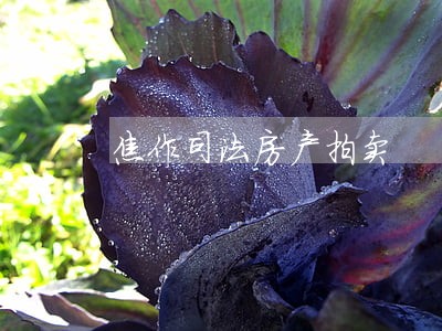焦作司法房产拍卖 焦作司法房产拍卖
