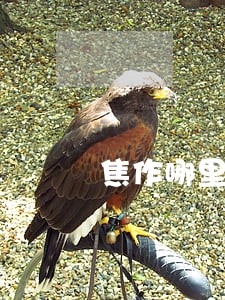 焦作哪里有医美事故律师团队 焦作哪里有医美事故律师团队