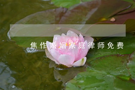 焦作婚姻家庭律师免费 焦作婚姻家庭律师免费