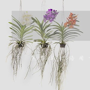 焦作工行信用卡逾期还不起怎么办