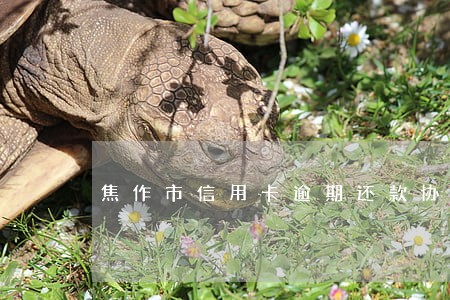 焦作市信用卡逾期还款协商 焦作市信用卡逾期还款协商