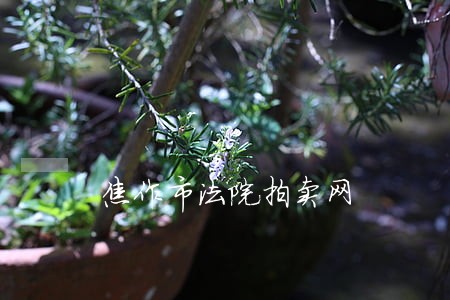 焦作市法院拍卖网 焦作市法院拍卖网