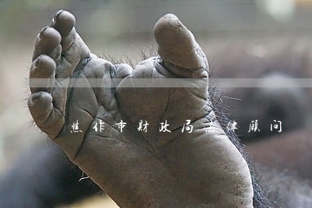 焦作市财政局法律顾问 焦作市财政局法律顾问