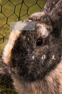 焦作建行信用卡逾期 焦作建行信用卡逾期