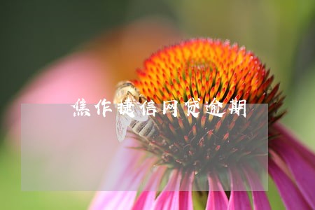 焦作捷信网贷逾期 焦作捷信网贷逾期