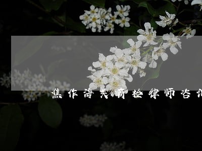 焦作海关商检律师咨询电话 焦作海关商检律师咨询电话