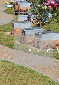 焦作药品犯罪律师 焦作药品犯罪律师