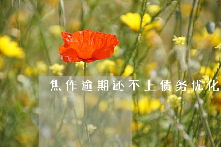焦作逾期还不上债务优化规划重组 焦作逾期还不上债务优化规划重组