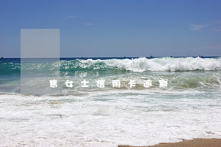 焦女士信用卡逾期 焦女士信用卡逾期