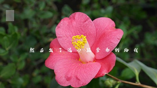 然后发了这个监管条例给我 然后发了这个监管条例给我