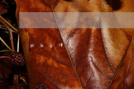 然后合律法 然后合律法