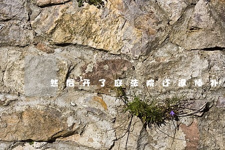 然后开了庭法院还退侦补 然后开了庭法院还退侦补