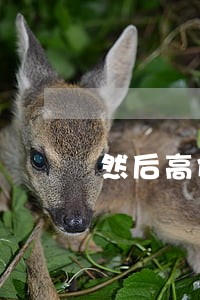 然后高价转租出去算违法嘛 然后高价转租出去算违法嘛