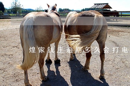 煌家钱庄逾期多久会打电话 煌家钱庄逾期多久会打电话